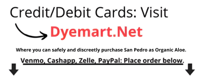 CreditDebit-Cards